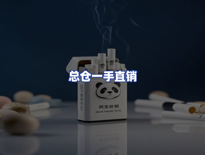 专业团队